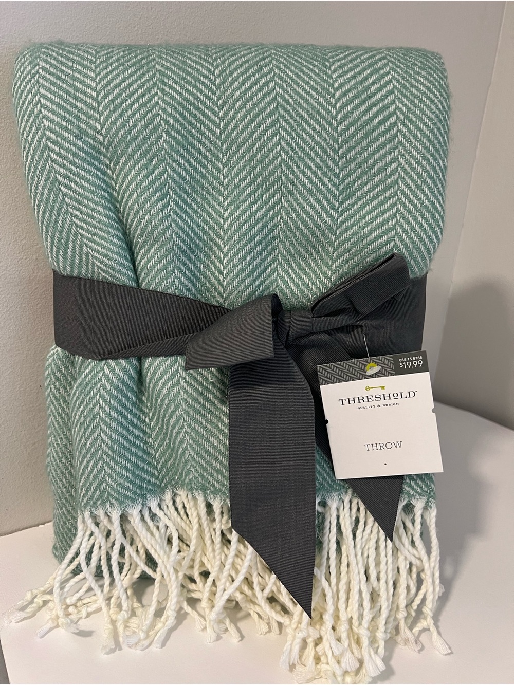 Target Threshold Mint Green Herringbone Throw with Fringe
